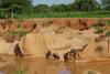 Nigeria - Minjibir - Kano State: red waters - erosion - photo by A.Obem