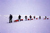 Arctic Ocean: team skis north to the Pole towing sleds - line of skiers - Polar expedition (photo by Eric Philips)