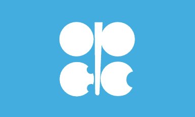 OPEC - Organization of Petroleum Exporting Countries - flag
