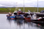 Orkney island - Stromness- the harbour - fishing boats - photo by Carlton McEachern