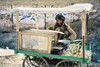 Pakistan - Quetta - Baluchistan: Afghani sugar-cane seller / Prodava cukrov ttiny - pvodem Afghnec - Kvta - photo by J.Kaman