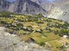 Hunza Valley - Northern Areas, Pakistan: agriculture in the scarce fertile land surrounded by mountains - Karakoram Highway - photo by D.Steppuhn