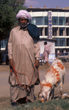 Pakistan - Karachi (Sindh / Sind): all set for the sacrifice - man wearing a dhoti, with his goat on Eid-ul-Azha / Eid-al-Adha, 10th day of the month of Dhul Hijja of the Hijri calendar - Muslim celebration - photo by R.Zafar
