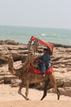 Karachi, Sindh, Pakistan: boy on camel - French Beach - photo by R.Zafar