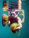 Mecherchar island, Rock Islands / Chelbacheb, Koror state, Palau: snorkler holding two jellyfish - Jellyfish lake - Ongeim'l Tketau - underwater image - photo by B.Cain
