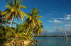 Palmyra Atoll: palms and yacht - late afternoon - photo by NOAA (in P.D.)