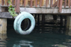Panama - Bocas del Toro - Old tire hanging on a wooden dock - photo by H.Olarte