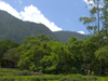 Panama - El Valle de Anton mountain range - view to the jungle - photo by H.Olarte