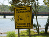 Panama Canal: Iguana crossing sign - Gamboa - photo by H.Olarte