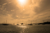 Panama City / Ciudad de Panama: sailboat silhouettes with a golden filter - Amador Causeway - photo by H.Olarte