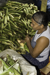 La Villa, Azuero, Los Santos province, Panama: woman peeling corn cobs to make folk food at El Ciruelo - photo by H.Olarte