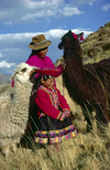 Cuzco region, Peru: Quechua girl with her grandmother and llamas- bucolic scene - Peruvian Andes - photo by C.Lovell