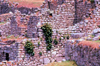 Machu Pichu, Cusco region, Peru: terracing - terraces and walls - Unesco world heritage site - photo by J.Fekete