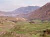 Peru - Caon del Colca (Arequipa region): descending to the Colca river - photo by M.Bergsma