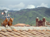 Cuzco, Peru: roof decoration - bulls - photo by M.Bergsma