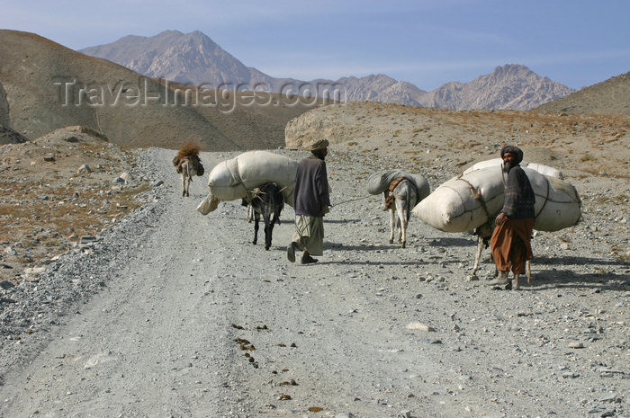 afghanistan26: Afghanistan - Herat province - men with their transport donkeys - mountain road - photo by E.Andersen - (c) Travel-Images.com - Stock Photography agency - Image Bank