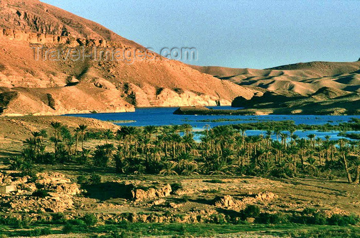 algeria13: Algeria / Algérie - En Nakhla - Batna wilaya: lake side - photo by C.Boutabba - côté de lac - (c) Travel-Images.com - Stock Photography agency - Image Bank