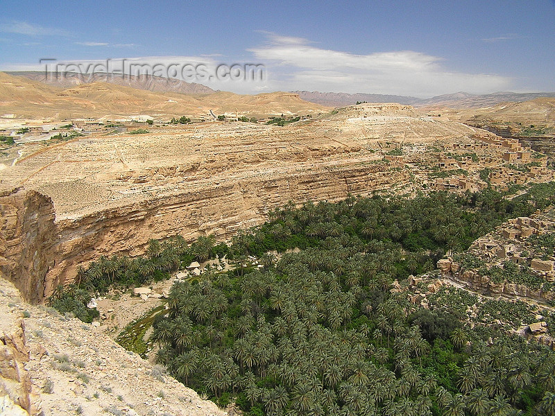 algeria136: Algeria / Algerie - Gorges de Tighanimine - El Abiod - Batna wilaya -  Massif des Aurès: oasis - photo by J.Kaman - (c) Travel-Images.com - Stock Photography agency - Image Bank