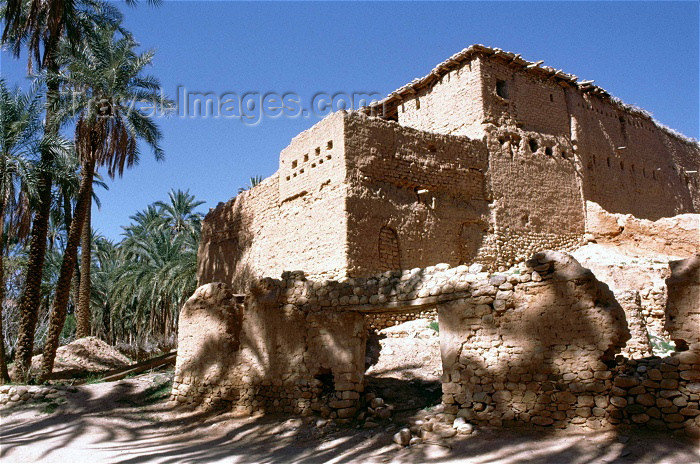 algeria18: Algeria / Algérie - M'Chounech: ruins in the sun - photo by C.Boutabba - ruines au soleil - (c) Travel-Images.com - Stock Photography agency - Image Bank