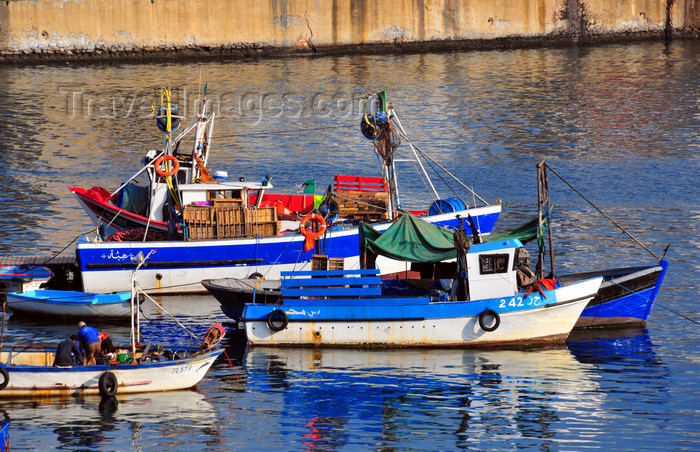 algeria497: Algiers / Alger - Algeria / Algérie: fishing vessels - fishing harbour| bateaux de pêche - Môle de Pêche - Pêcherie - photo by M.Torres - (c) Travel-Images.com - Stock Photography agency - Image Bank