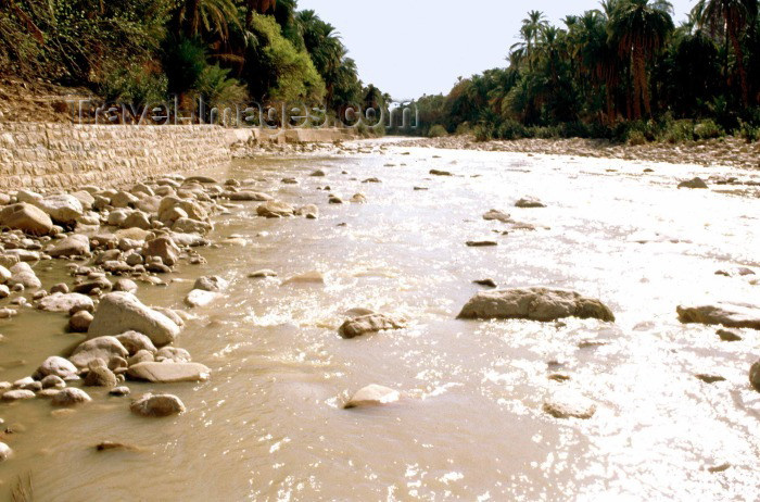 algeria8: Algeria / Algérie - M'Chouneche: on the river - wadi - photo by C.Boutabba - sur le fleuve - (c) Travel-Images.com - Stock Photography agency - Image Bank