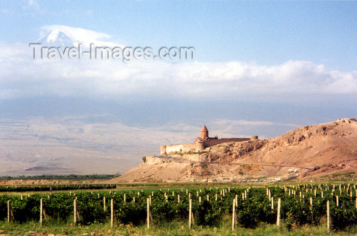 armenia31: Armenia - Khor Virap, Ararat province: the monastery between Mount Ararat and the vineyards of Lusarvat village - photo by M.Torres - (c) Travel-Images.com - Stock Photography agency - Image Bank