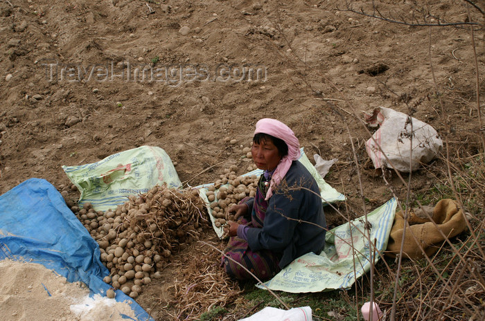 bhutan14: Bhutan - Bumthang valley - woman cleaning potatoes - working in the fields, outside Kurjey Lhakhang - photo by A.Ferrari - (c) Travel-Images.com - Stock Photography agency - Image Bank