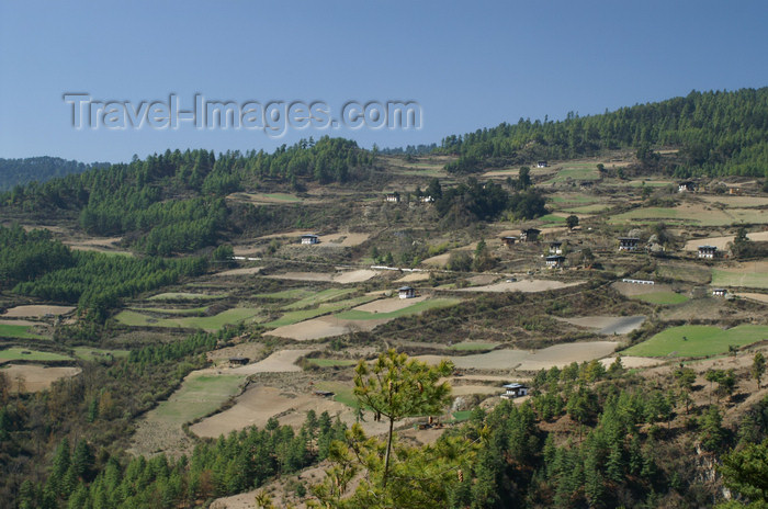 bhutan148: Bhutan - Houses and fields, on the way to the Haa valley - photo by A.Ferrari - (c) Travel-Images.com - Stock Photography agency - Image Bank