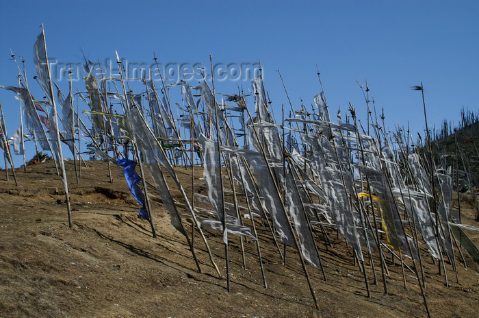 bhutan166: Bhutan - Prayer flags, blown by the wind, at Chele La - photo by A.Ferrari - (c) Travel-Images.com - Stock Photography agency - Image Bank