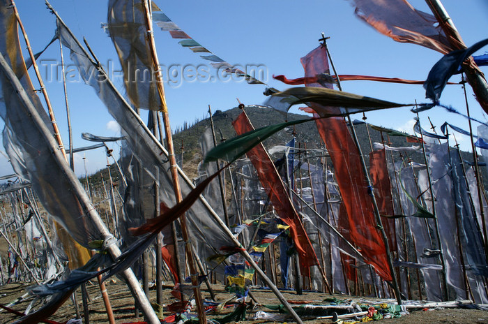 bhutan167: Bhutan - forest of prayer flags, at Chele La - photo by A.Ferrari - (c) Travel-Images.com - Stock Photography agency - Image Bank