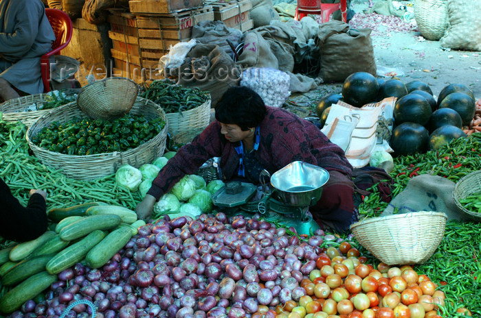 bhutan179: Bhutan - Thimphu - the market - selling vegetables - tomatoes, onions, cabages... - photo by A.Ferrari - (c) Travel-Images.com - Stock Photography agency - Image Bank