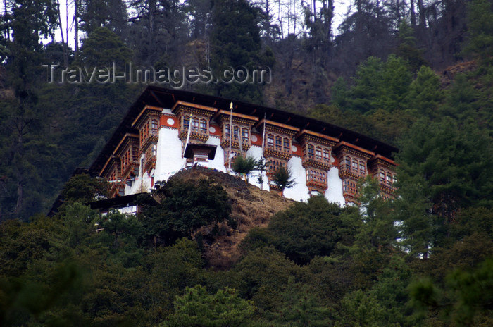 bhutan209: Bhutan - Tango Goemba - surrounded by forest - photo by A.Ferrari - (c) Travel-Images.com - Stock Photography agency - Image Bank