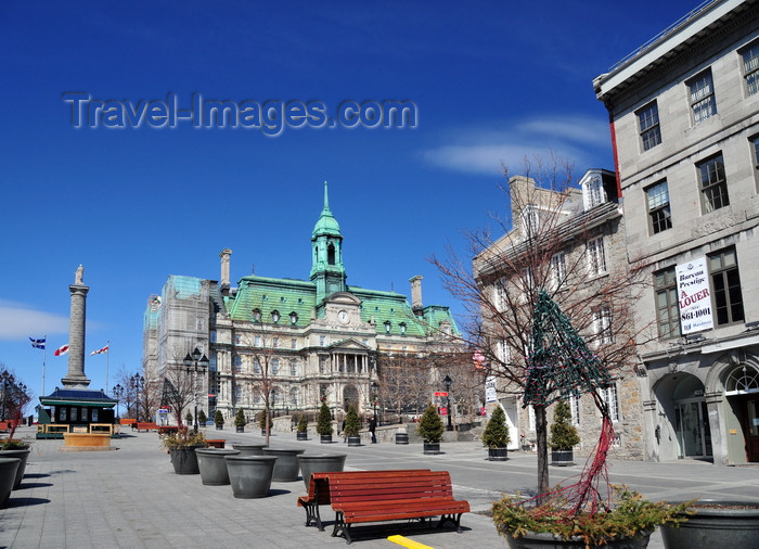 canada578: Montreal, Quebec, Canada: Place Jacques-Cartier, City Hall and Nelson Column seen from near Rue St-Paul - Vieux-Montréal - photo by M.Torres - (c) Travel-Images.com - Stock Photography agency - Image Bank