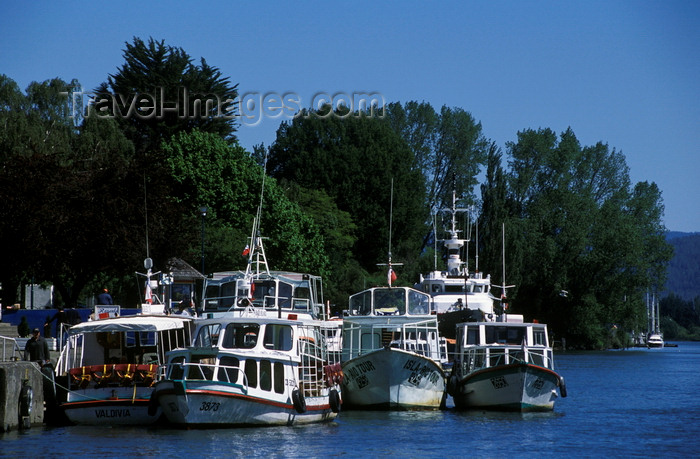 chile15: Valdivia, Los Ríos, Chile: tour boats at anchor at the docks – the river system feeds into the Pacific Ocean - photo by C.Lovell - (c) Travel-Images.com - Stock Photography agency - Image Bank