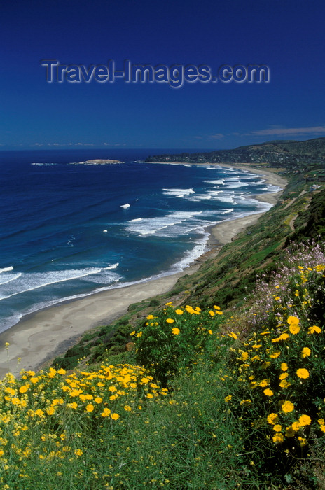 chile186: Cachagua, Valparaíso region, Chile: cliffs and flowers above the town - photo by C.Lovell - (c) Travel-Images.com - Stock Photography agency - Image Bank
