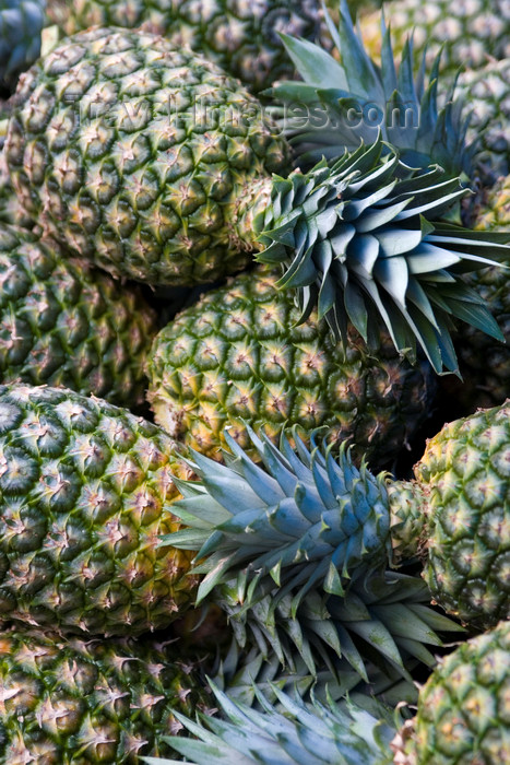 costa-rica25: Costa Rica - Alajuela province: pineapples at a Costarican market - Ananas sativus - photo by H.Olarte - (c) Travel-Images.com - Stock Photography agency - Image Bank