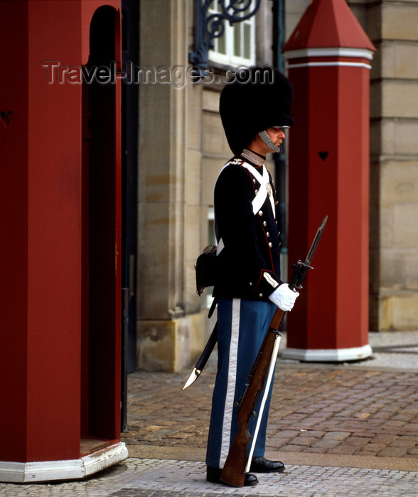 denmark26: Copenhagen, Denmark: Royal Guard on duty - photo by J.Fekete - (c) Travel-Images.com - Stock Photography agency - Image Bank