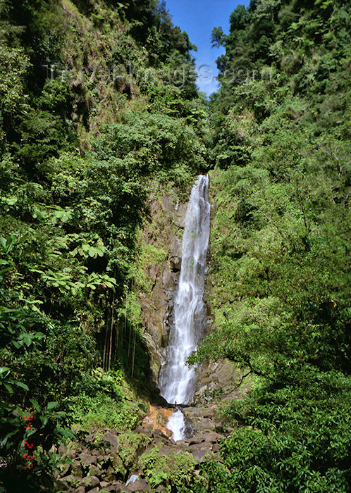 dominica9: Dominica - Inland water falls - Morne Trois Pitons National Park - Unesco world heritage site - photo by G.Frysinger - (c) Travel-Images.com - Stock Photography agency - Image Bank