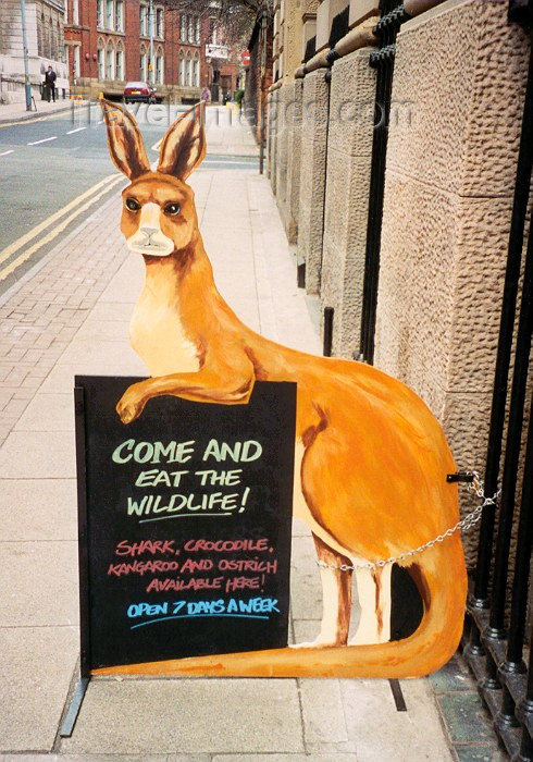 england54: Manchester, North West, England: free for all menu - kangaroo at a restaurant - kangaroo - photo by M.Torres - (c) Travel-Images.com - Stock Photography agency - Image Bank