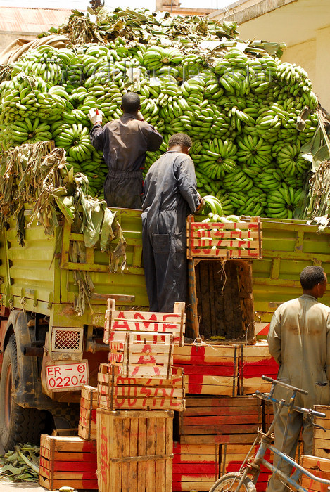 eritrea19: Eritrea - Asmara: unloading a banana truck in the market - photo by E.Petitalot - (c) Travel-Images.com - Stock Photography agency - Image Bank