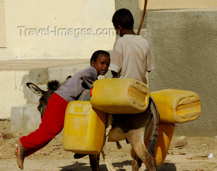 eritrea42: Eritrea - Keren, Anseba region: going to a well to get water - children on a donkey with plastic tanks - photo by E.Petitalot - (c) Travel-Images.com - Stock Photography agency - Image Bank