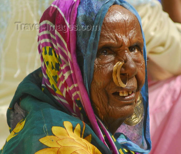 eritrea49: Eritrea - Keren, Anseba region: old Tigrinya woman with nose piercing - Tigray-Tigrinya people - photo by E.Petitalot - (c) Travel-Images.com - Stock Photography agency - Image Bank