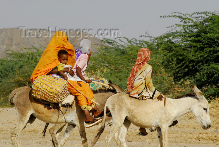 eritrea51: Eritrea - Hagaz, Anseba region - a family on donkeys travels in desert - photo by E.Petitalot - (c) Travel-Images.com - Stock Photography agency - Image Bank
