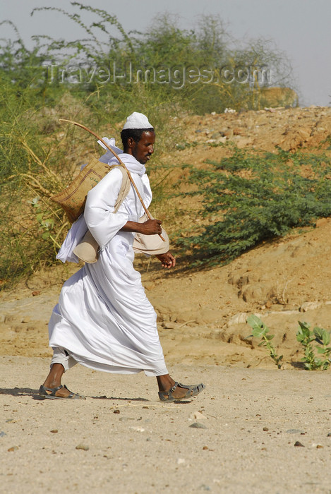 eritrea52: Eritrea - Hagaz, Anseba region - Tigrinya man walking in the desert - Tigray-Tigrinya people - photo by E.Petitalot - (c) Travel-Images.com - Stock Photography agency - Image Bank