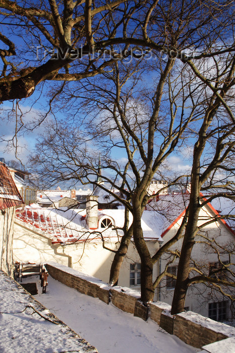 estonia161: Estonia - Tallinn - Old Town - Komandandi Overlook - trees, roofs and snow - photo by K.Hagen - (c) Travel-Images.com - Stock Photography agency - Image Bank