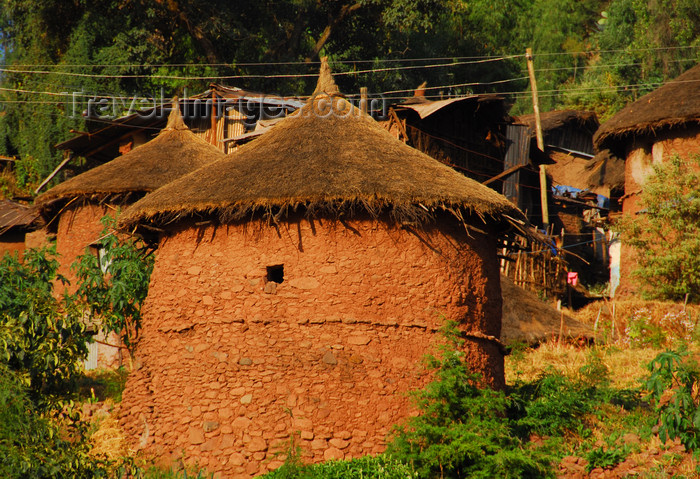 ethiopia190: Lalibela, Amhara region, Ethiopia: cylindrical huts with thatched roofs - photo by M.Torres - (c) Travel-Images.com - Stock Photography agency - Image Bank