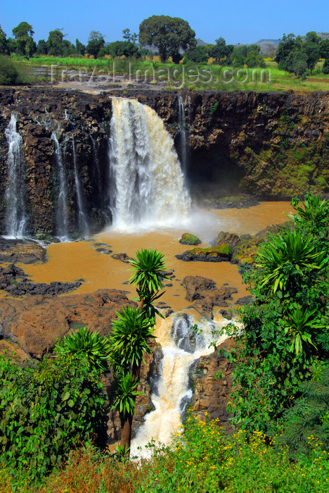 ethiopia447: Blue Nile Falls - Tis Issat, Amhara, Ethiopia: two steps of basalt - photo by M.Torres - (c) Travel-Images.com - Stock Photography agency - Image Bank