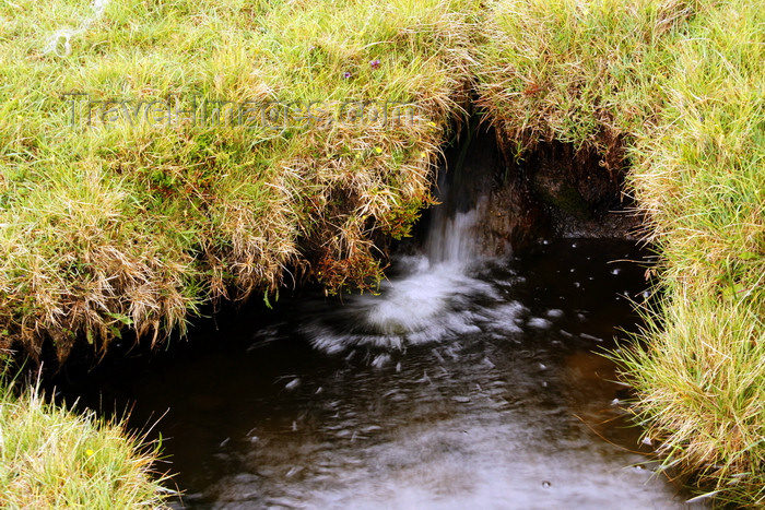 faeroe64: Vágar island, Faroes: small waterfall hidden by grass, near Sørvagsvatn lake - photo by A.Ferrari - (c) Travel-Images.com - Stock Photography agency - Image Bank