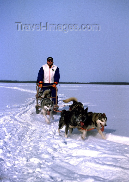fin52: Finland - Lapland: huskies and sledge - dogsled (photo by F.Rigaud) - (c) Travel-Images.com - Stock Photography agency - Image Bank