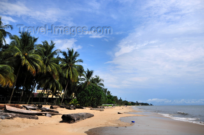 gabon16: Libreville, Estuaire Province, Gabon: coconut trees and golden sand - Tropicana beach, in front of Hotel Tropicana - Quartier Tahiti - photo by M.Torres - (c) Travel-Images.com - Stock Photography agency - Image Bank